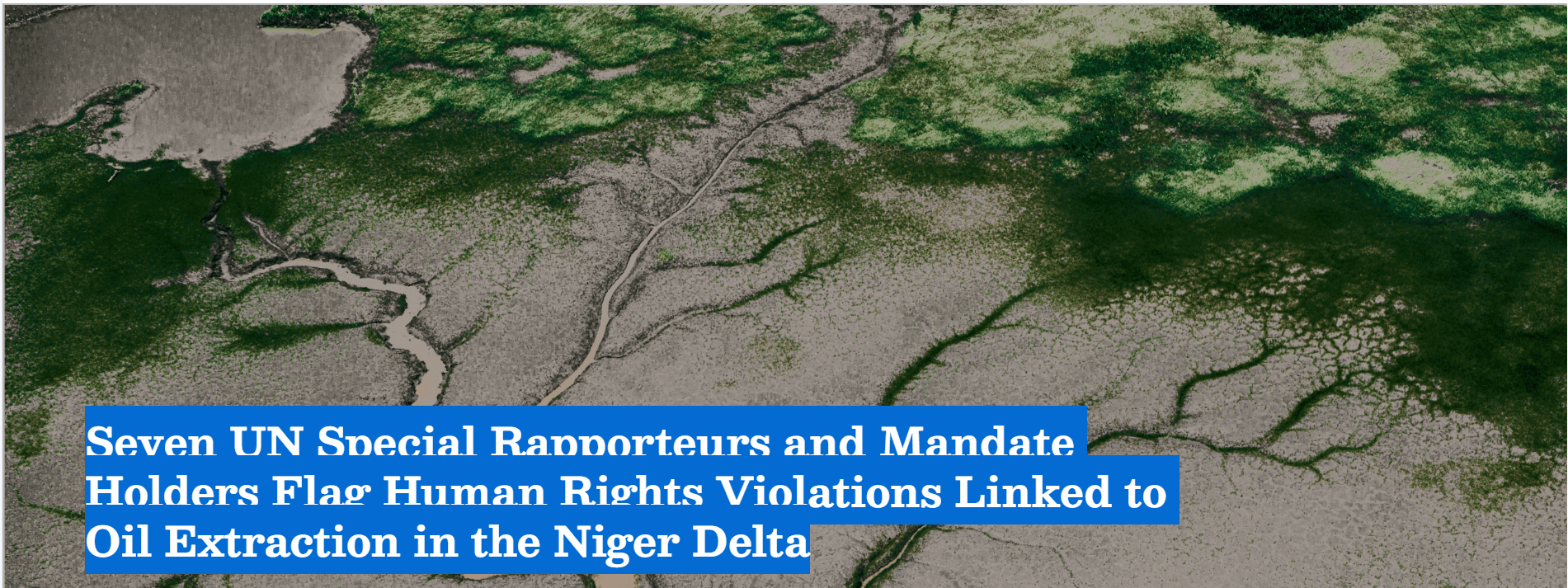 Seven UN Special Rapporteurs and Mandate Holders Flag Human Rights Violations Linked to Oil Extraction in the Niger Delta